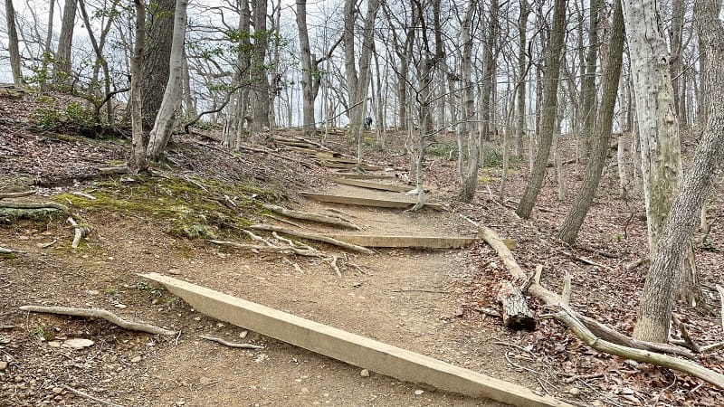 River Trail Steps at Great Falls Park