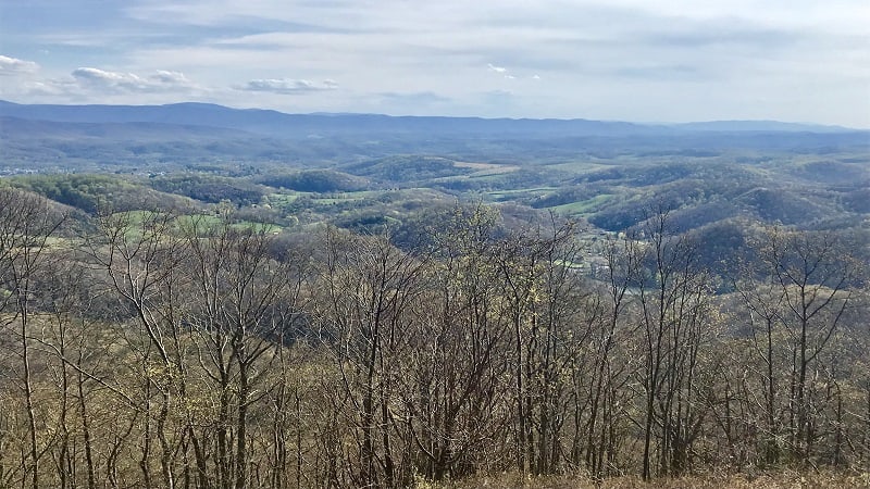 Molly's Knob Views