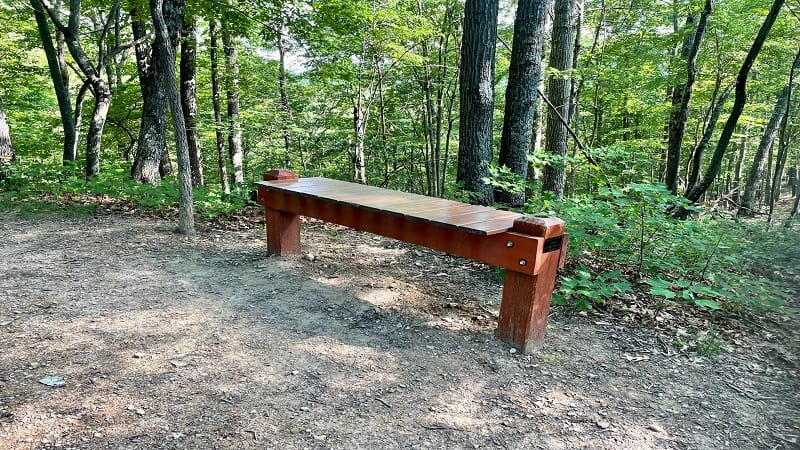 Molly's Knob Benches