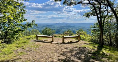 Molly's Knob | Hungry Mother State Park | Hiking in Southwest Virginia