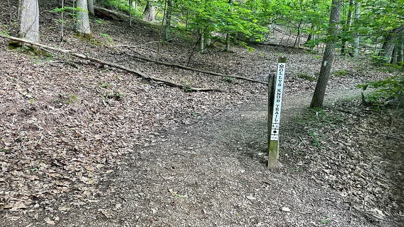 Molly's Knob Trail Sign