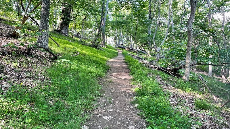 Molly's Vista Trail