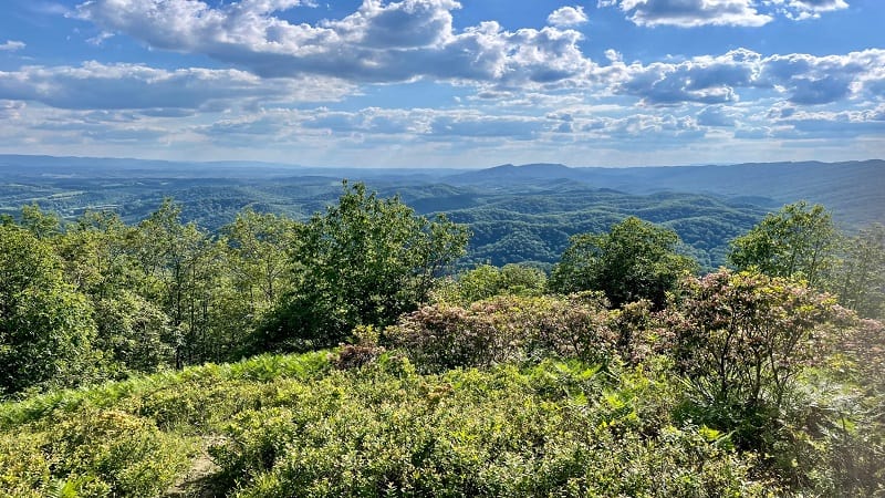 Molly's Knob Vistas