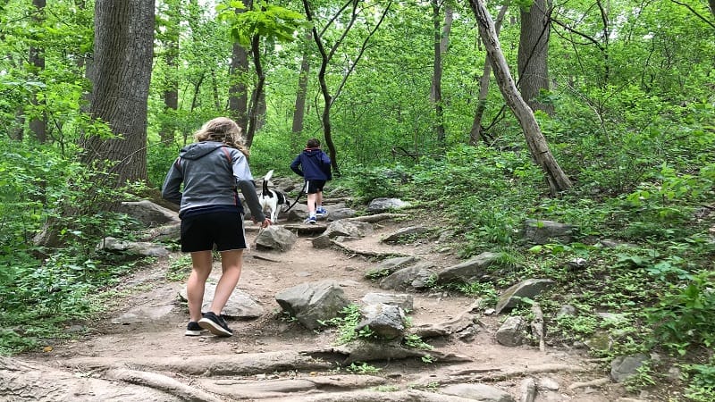 Bears Den Hike Near Bluemont, VA