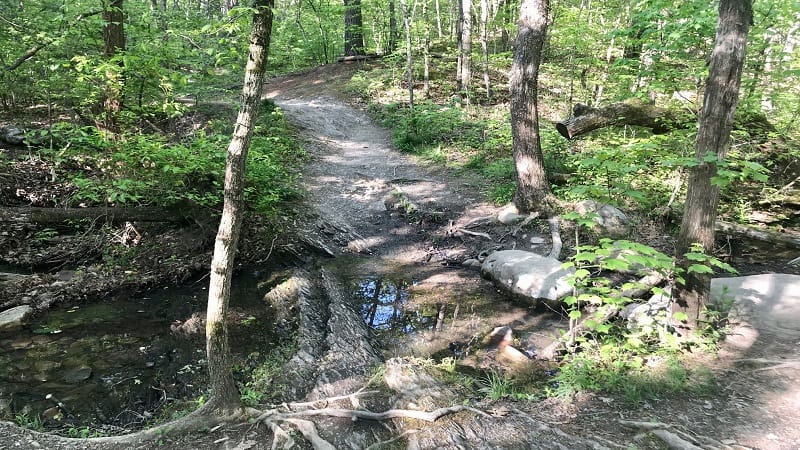 Buzzard Rocks Trail-Creek Crossing