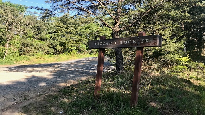 Buzzard Rocks Trail-Road Sign