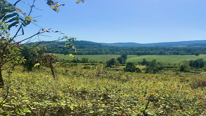 Sky Meadows State Park