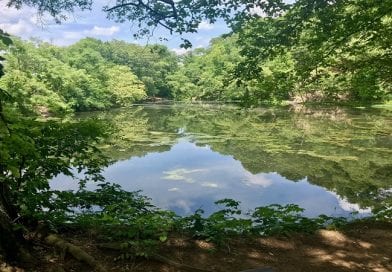 Quarry Pond at Belle Isle Trail in Richmond, Virginia | Best Hikes Near Richmond, VA