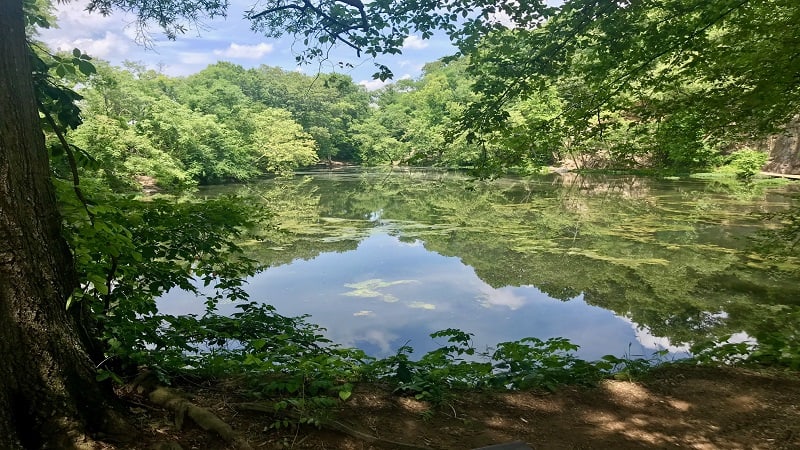 Belle Isle Trail-Quarry Pond