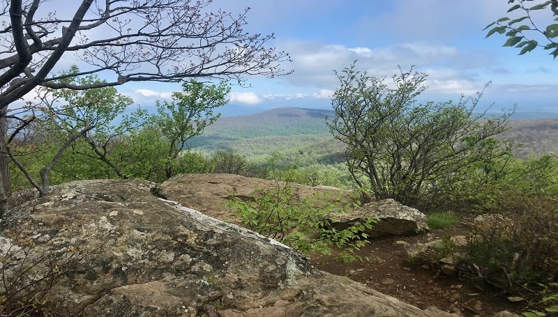 Compton Peak Overlook