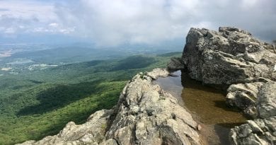 Little Stony Man Cliffs | Best Short Hikes in Shenandoah National Park