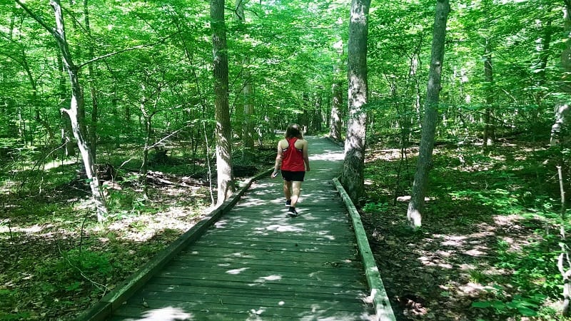 Pocahontas State Park - Boardwalk