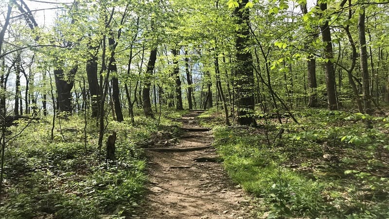 Appalachian Trail leading to Compton Peak at Shenandoah National Park