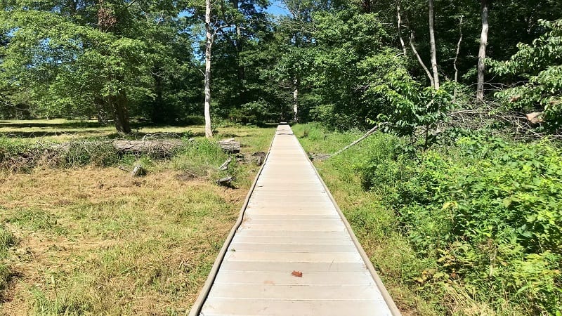 First Battle of Manassas Trail-Boardwalk Trail