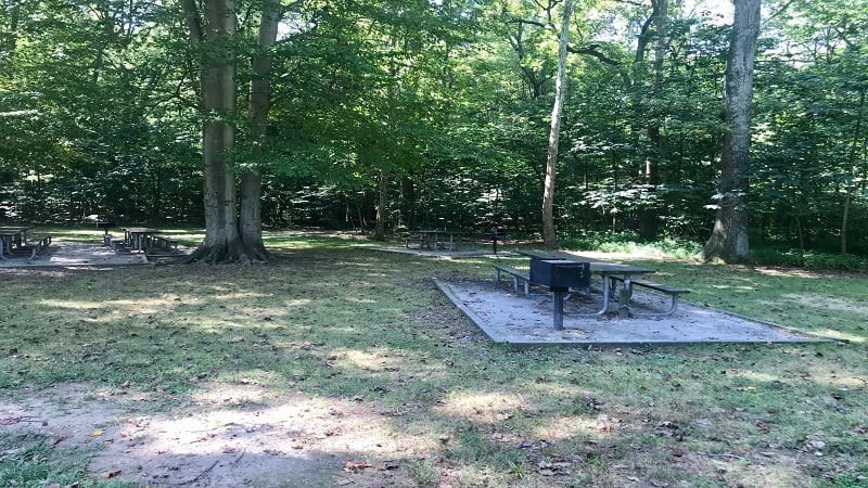 Mason Neck State Park-Picnic Area