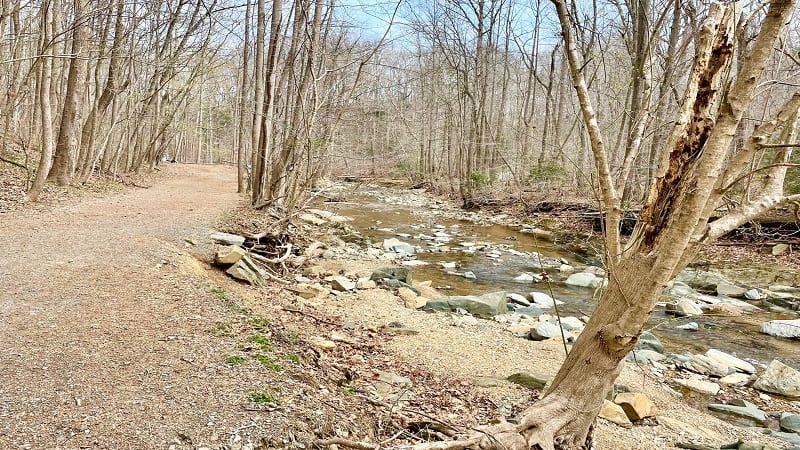 Path Along Scott's Run