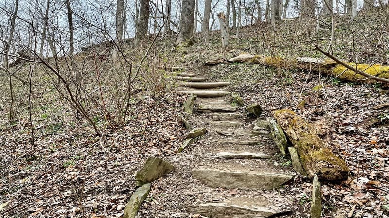 Steps to Stubblefield Overlook