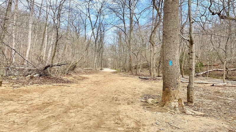 Blue Blazed Trail at Scott's Run