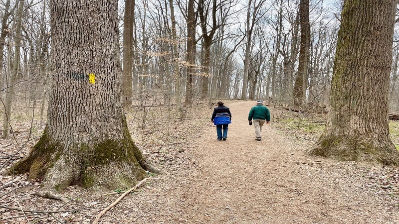 Yellow Trail at Scott's Run