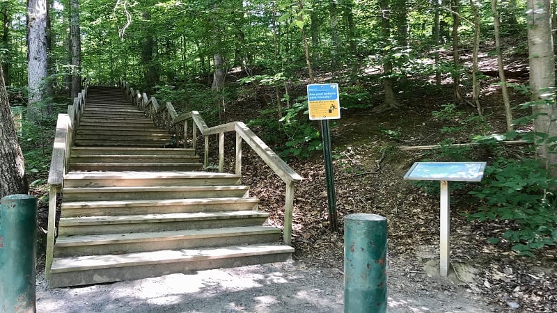 Scotts Run-Trail Stairs