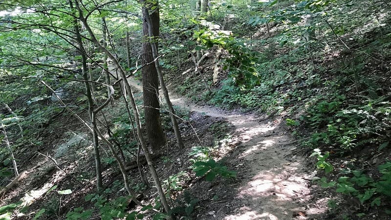 Scotts Run-Winding Trail