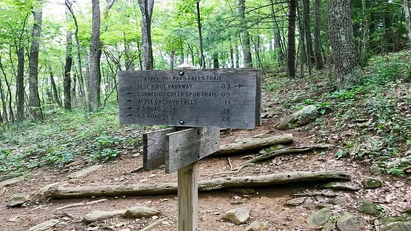 Apple Orchard Falls-Falls Trail Sign