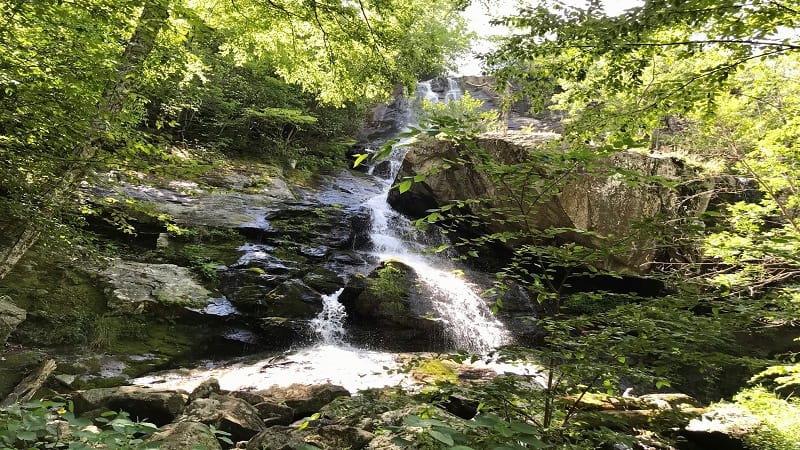 Apple Orchard Falls Near Bedford, Virginia