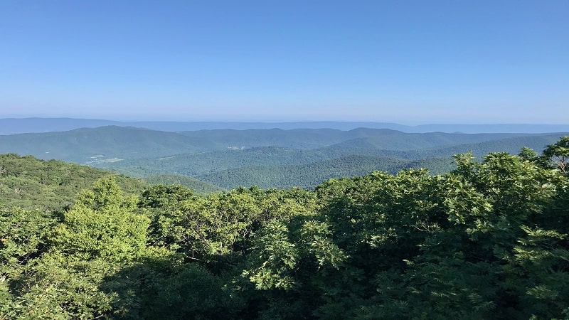 Bearfence Viewpoint Hike