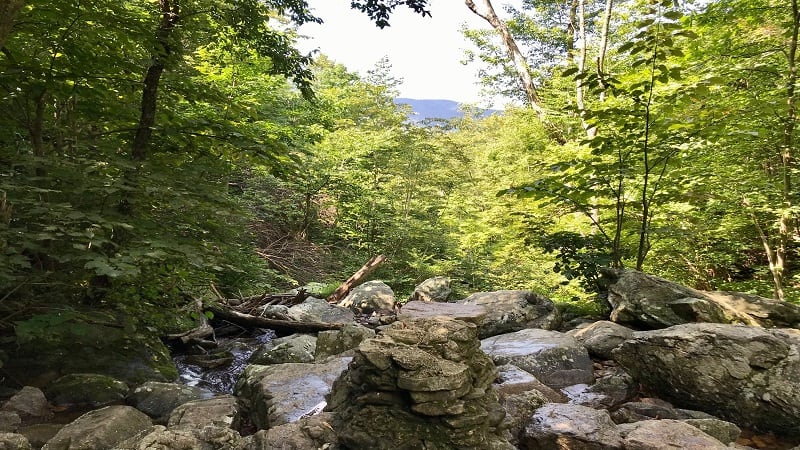 Fallingwater shop cascades trail