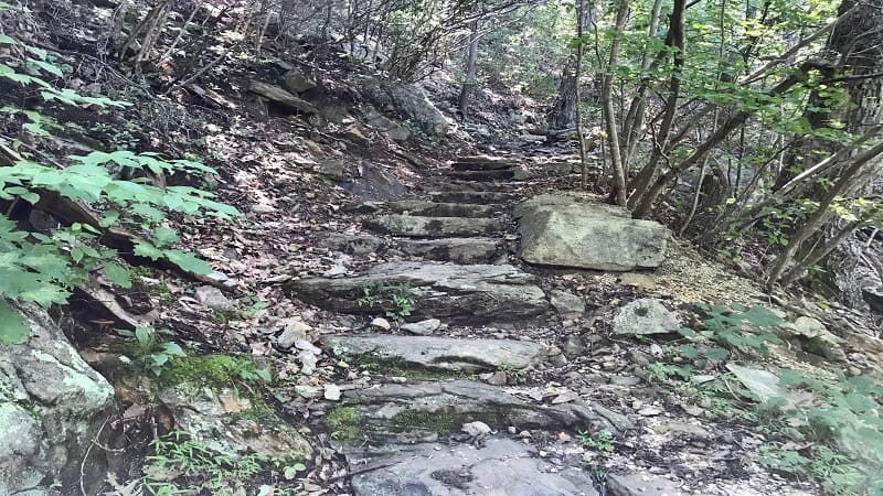 Fallingwater Cascades Trail-Stairs