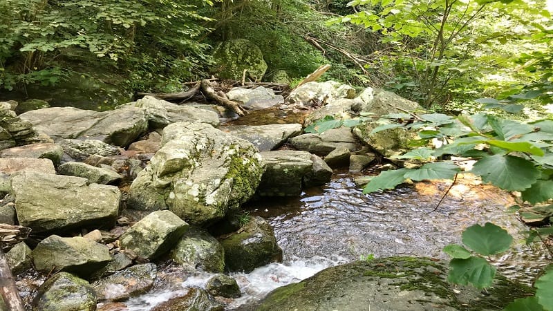 Fallingwater Cascades Trail-Water Pools