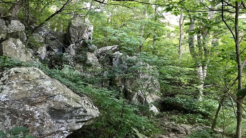 Lewis Spring Falls Trail-Rock Outcropping