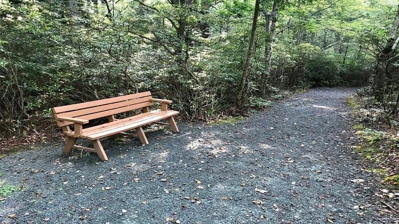 A Bench Along the Limberlost Trail