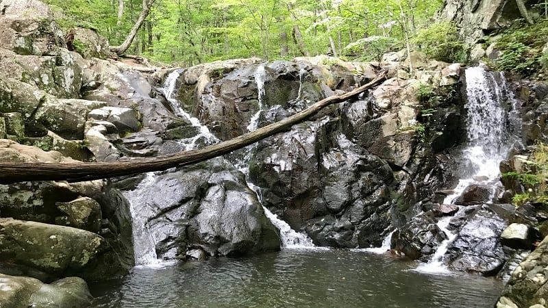 Rapidan & Rose Rivers - Shenandoah National Park 