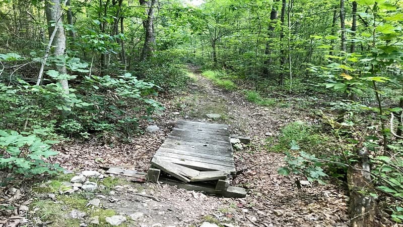 A Wooden Boardwalk Path 