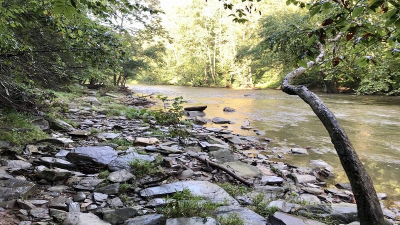 Hiking the Bull Run Occoquan Trail in Clifton, Virginia