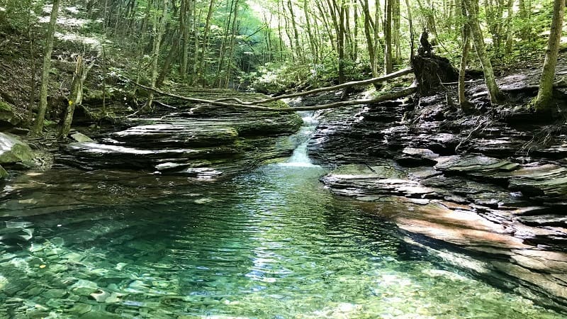 Crystal clear Devil's Bathtub swimming hole in Southwest Virginia