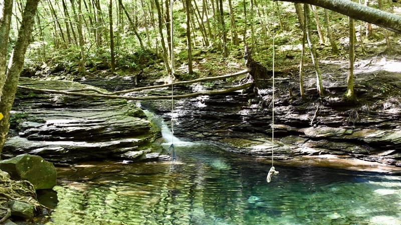 Rope swings at the swimming hole at Devil's Bathtub