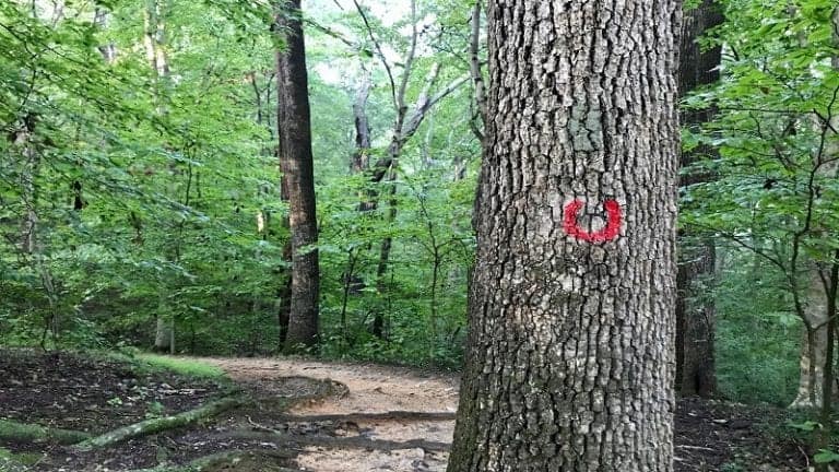 Hiking the Bull Run Occoquan Trail in Clifton, Virginia