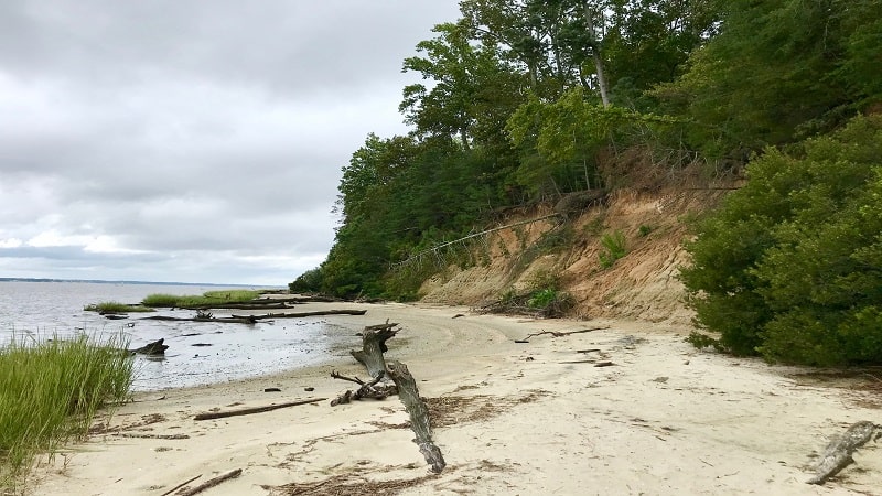 Fossil Beach at York River State Park