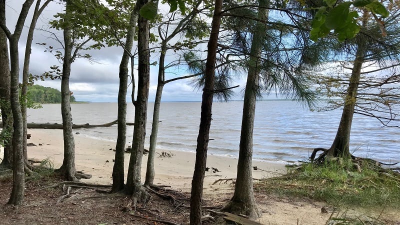 Hike Fossil Beach at York River State Park in Williamsburg