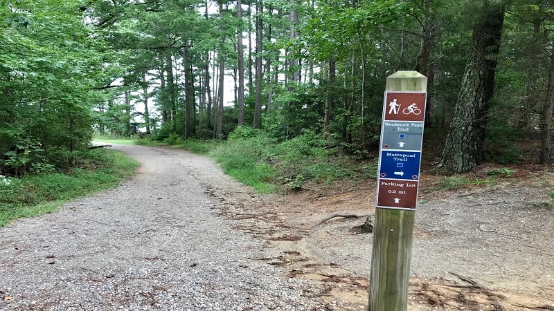 A Day in the Life of York River State Park: Woodstock Pond Trail - State  Parks Blogs