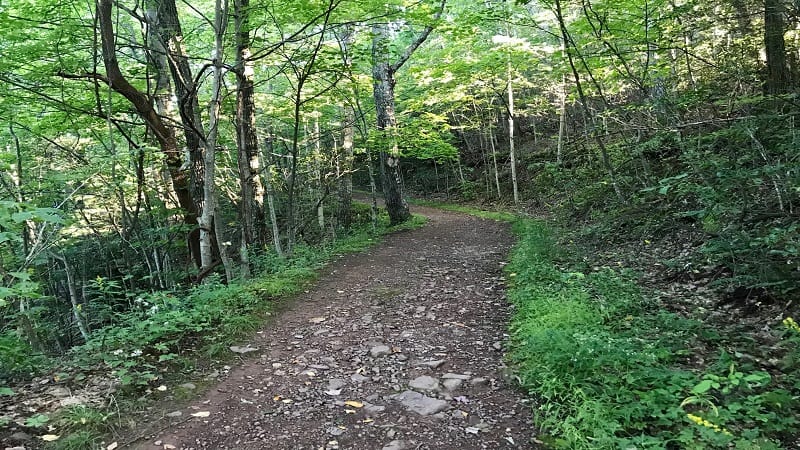 The Brumley Mountain Trail at Channels Natural Area Preserve