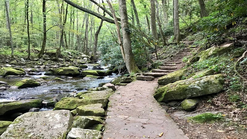 Little Stony Creek Next to the Cascades Falls Trail