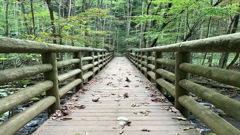 A Wooden Bridge on the Cascades Falls Trail