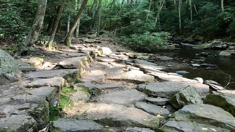 A Flat Rock Beach on the Cascades Falls Trail