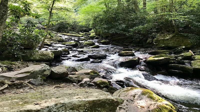 Little Stony Creek on the Cascades Falls Trail