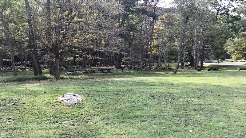 Picnic Tables at the Cascades Day Use Area