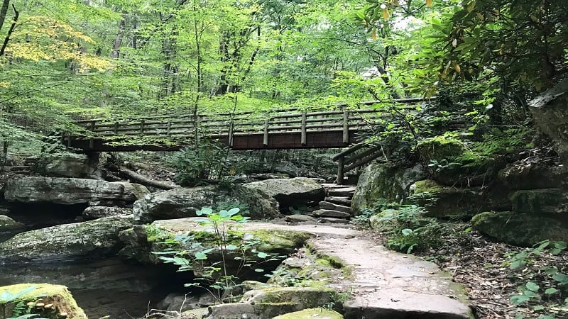 A Wooden Bridge Along the Cascades Falls Trail