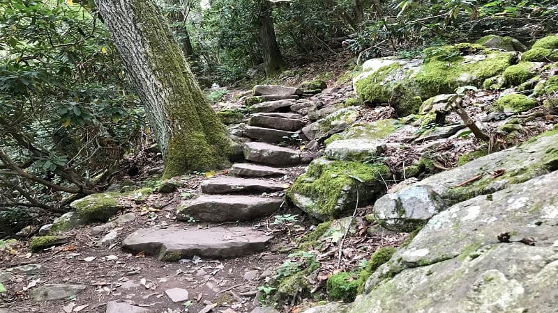 Stone Steps on the Cascades Falls Trail